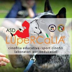 ASD Lupercalia