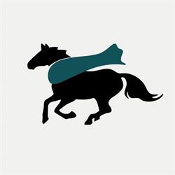 Shop del Cavallo