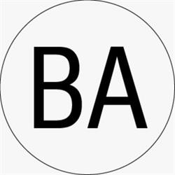 Bertolazzi architects
