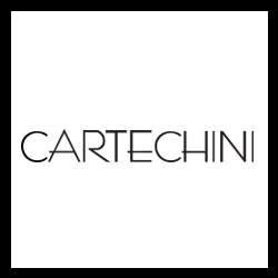 Cartechinishop.com