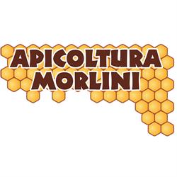 Apicoltura Morlini