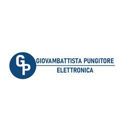 Elettronica Pungitore