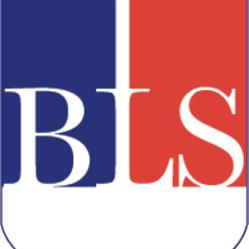 Britannic Language Services