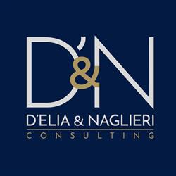 D'Elia & Naglieri Consulting