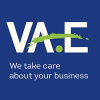 VA.E Consulting