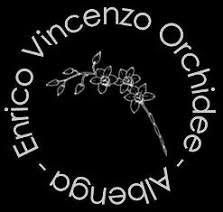 Enrico Orchidee