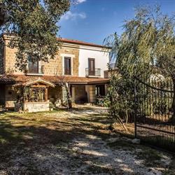 La tana del riccio