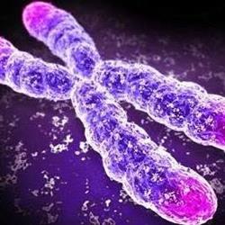 Diagnostica Genetica e Nutrizione