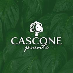 Cascone Piante