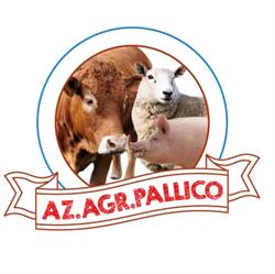 Azienda Agricola Pallico di Brunelli Massimo