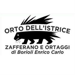 Orto dell'istrice zafferano e ortaggi
