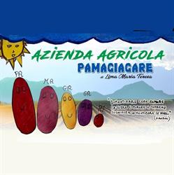 Az. Agricola Pamagiagare