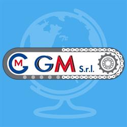 GM Srl BELT Conveyor & Components