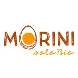 Morini Solo Bio