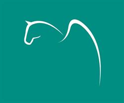 Grafiche PEGASO - Tipografia Padova