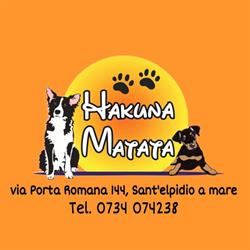 Hakuna Matata Pet Shop