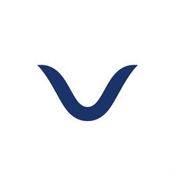 VES - Voice Evolution Institute