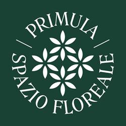 Primula Spazio floreale - Ischia