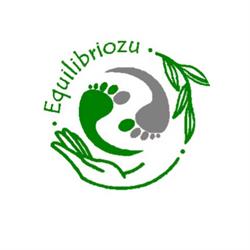 Equilibriozu