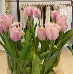 Gregori's Boutique
