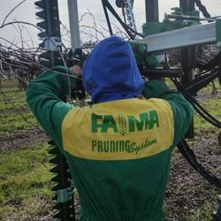 FA.MA Pruning
