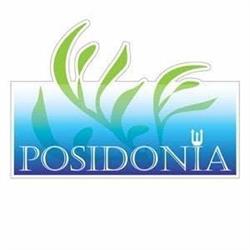 B&B Posidonia