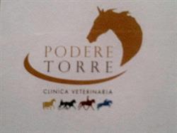 STUDIO VETERINARIO ASSOCIATO PODERE TORRE