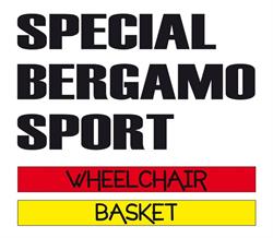SBS - Wheelchair Basket