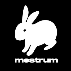 Mostrum Srl  Progettazione e Sviluppo software personalizzato
