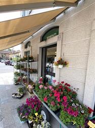 Sementi Bruni & F SNC (shop)