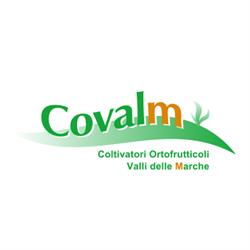 Covalm Scapa