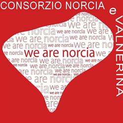 We Are Norcia