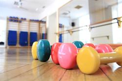Ginnastica e