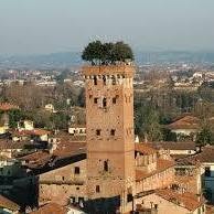 Ufficio Scolastico Ambito Territoriale di Lucca e Massa Carrara