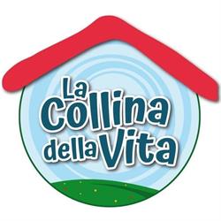 La collina della vita