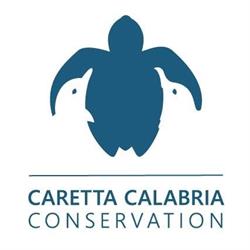 Caretta Calabria Conservation