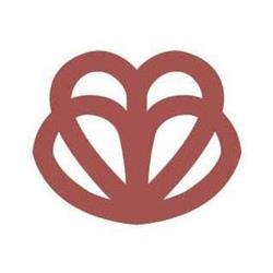 Fondazione Italiana per il Cuore