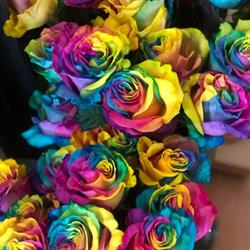 Petali - Flower Designer