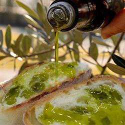 Terre di Calabria-Azienda Agricola Biologica Macrina