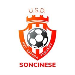 Usd Soncinese