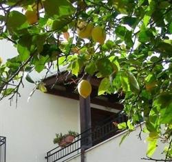 Il Limone Residence