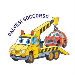 PALVESI SOCCORSO SRL