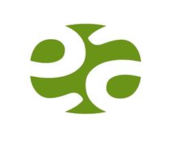 Ecoartigianato di Silvia Bertolucci