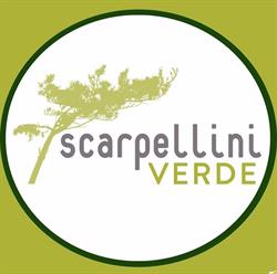 Scarpellini Verde