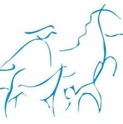 Centro Medico Veterinario BMVet