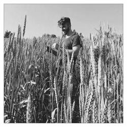 Azienda agricola biologica Giacomo Giannelli