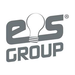 ES Group