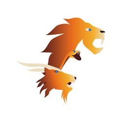 CHIMERA CARTA Srl