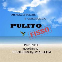 Pulito fisso