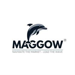 Maggow Consulenza Marketing e Vendite